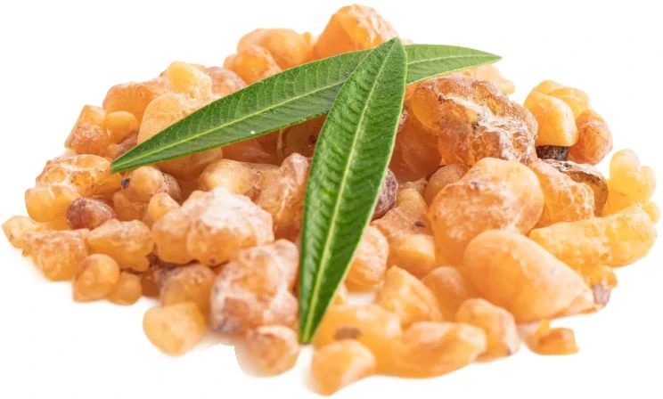 Boswellia Serrata used as an Ingredient in Lymph Tonic