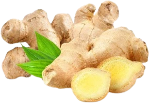 Ginger Extract used as an Ingredient in Lymph Tonic