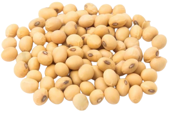 Phosphatidylcholine used as an Ingredient in Lymph Tonic